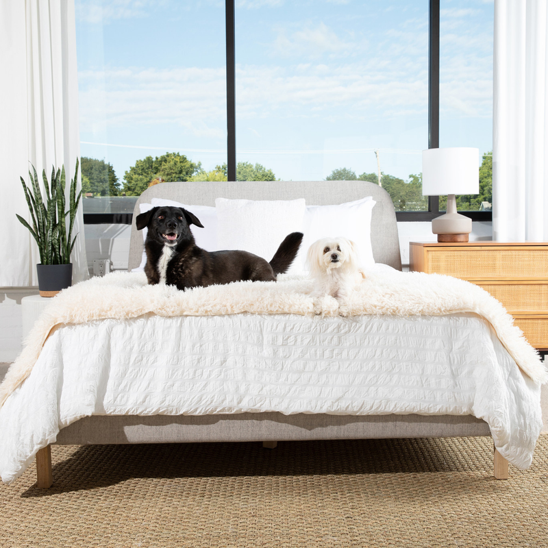 PupProtector™ Luxe Waterproof Bed Runner - Plush Sheep Ivory product image