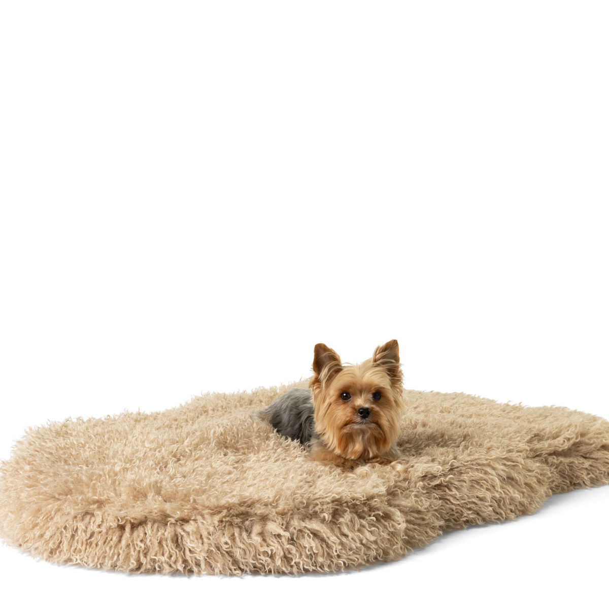 PupRug® Luxe Faux Fur Orthopedic Dog Bed Cover - Plush Sheep Tan (Bed Not Included) image 3