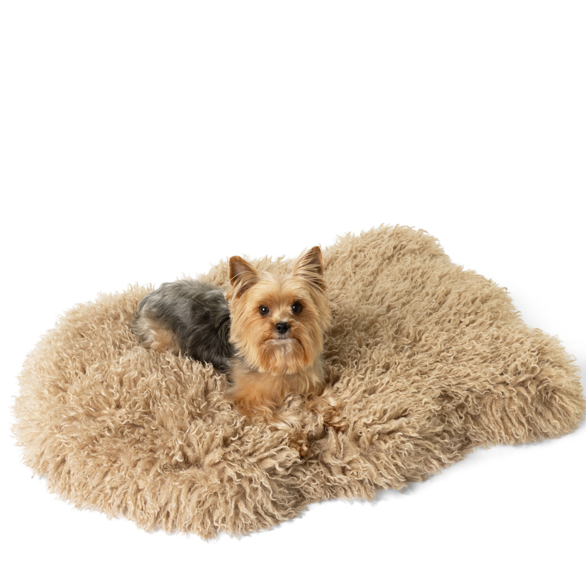 PupRug® Luxe Faux Fur Orthopedic Dog Bed Cover - Plush Sheep Tan (Bed Not Included) product image
