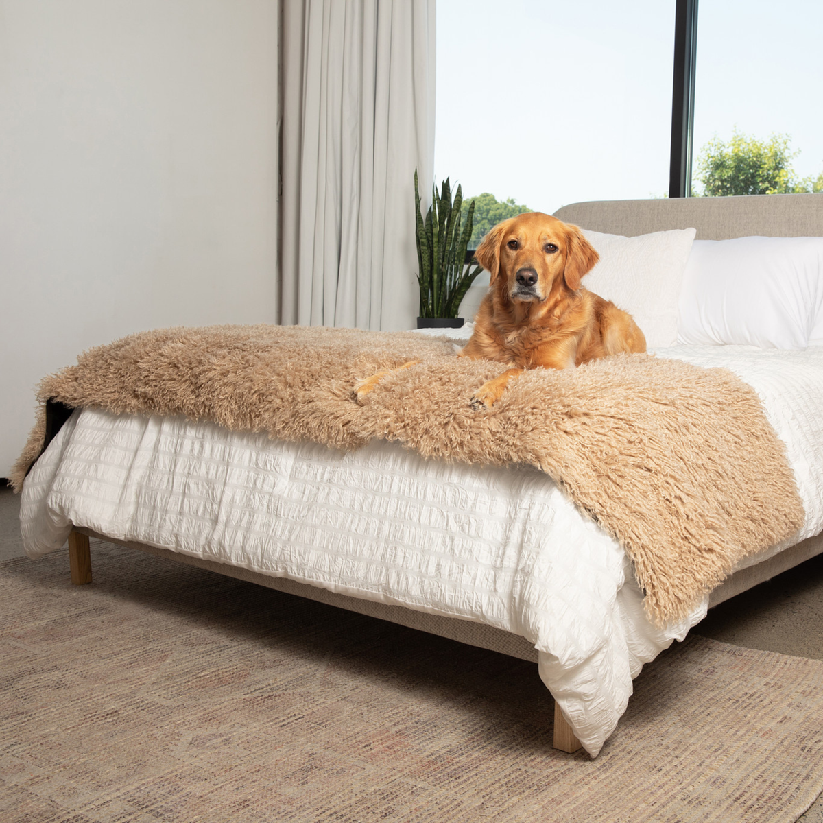 PupProtector™ Luxe Waterproof Bed Runner - Plush Sheep Tan product image