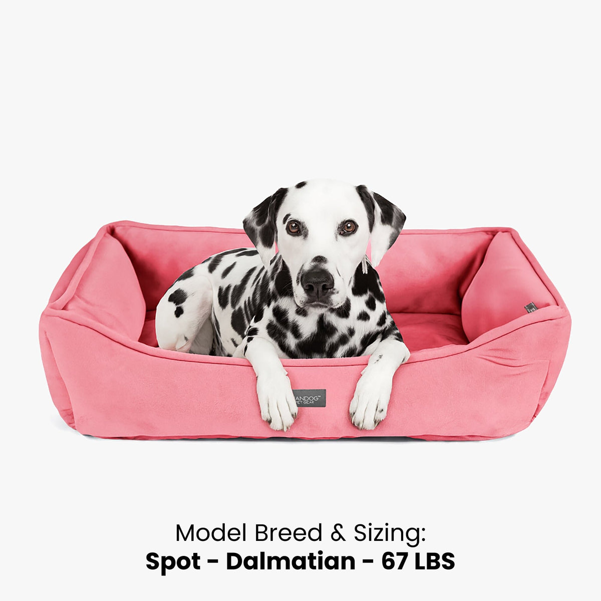 Signature Bed in Electric Pink image 2