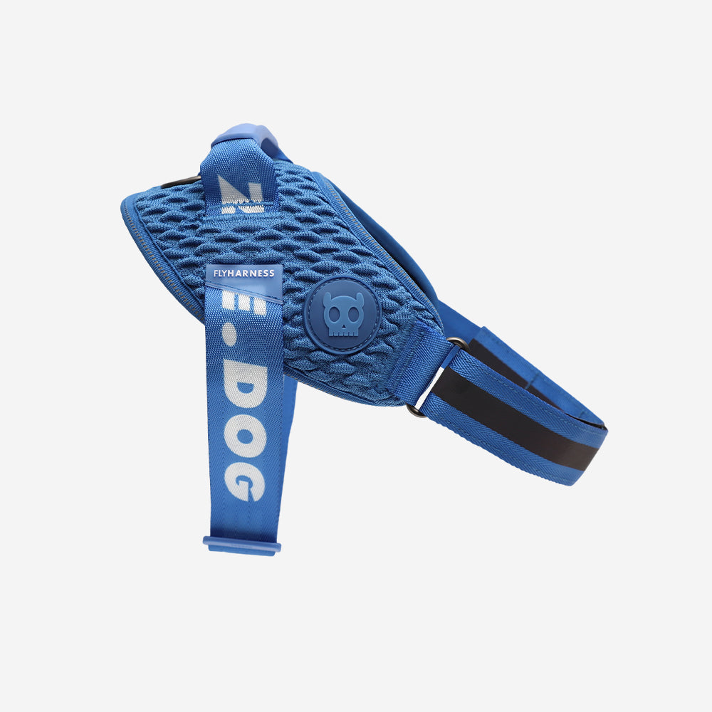 Slam Dunk | FlyHarness product image