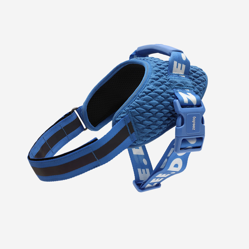 Slam Dunk | FlyHarness image 3