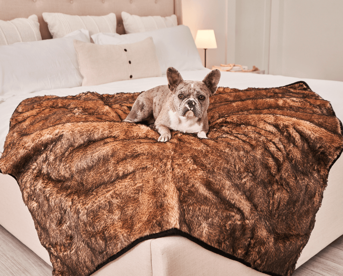 PupProtector™ Summer Short Fur Waterproof Throw Blanket - Sable Tan image 4