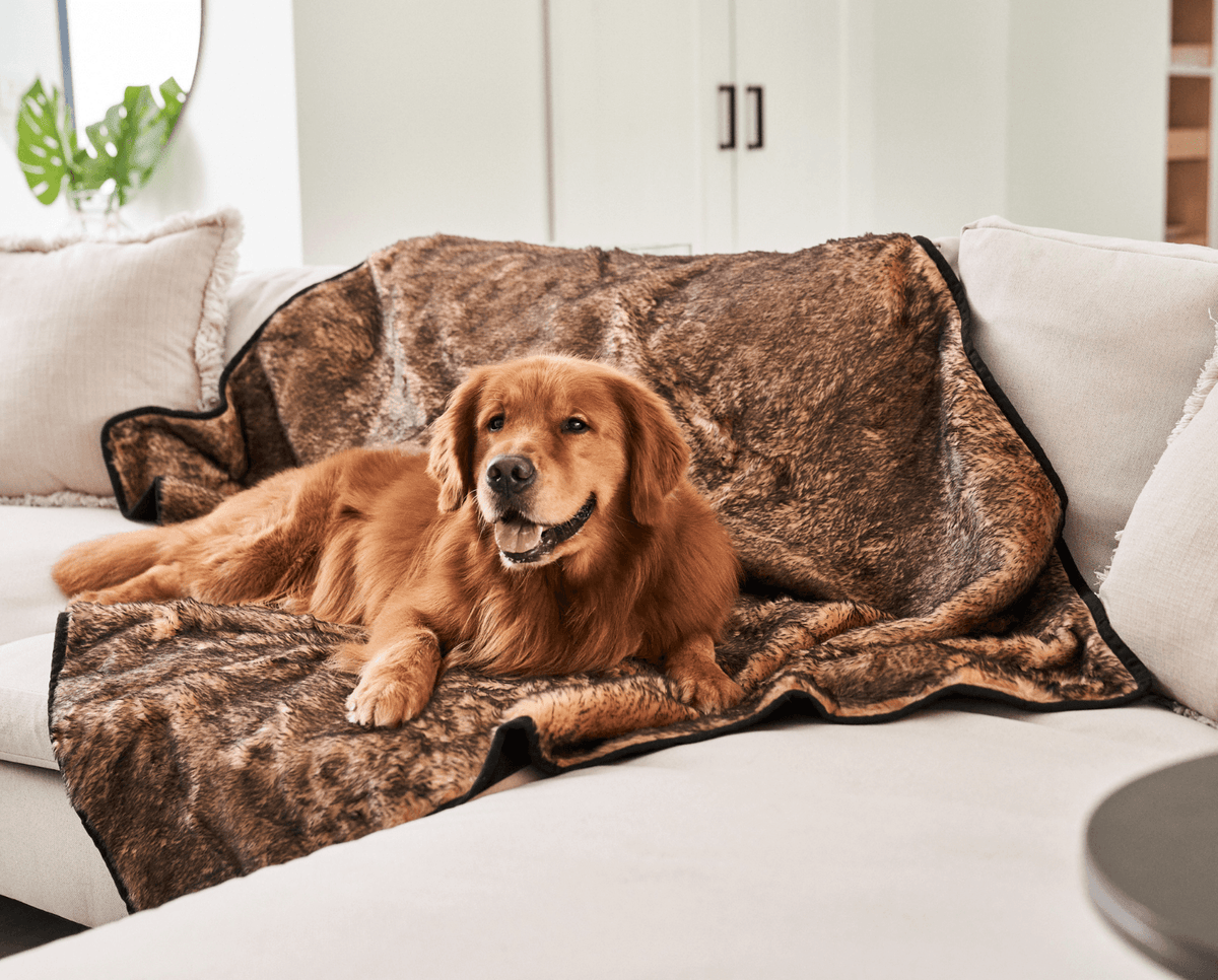 PupProtector™ Summer Short Fur Waterproof Throw Blanket - Sable Tan image 2