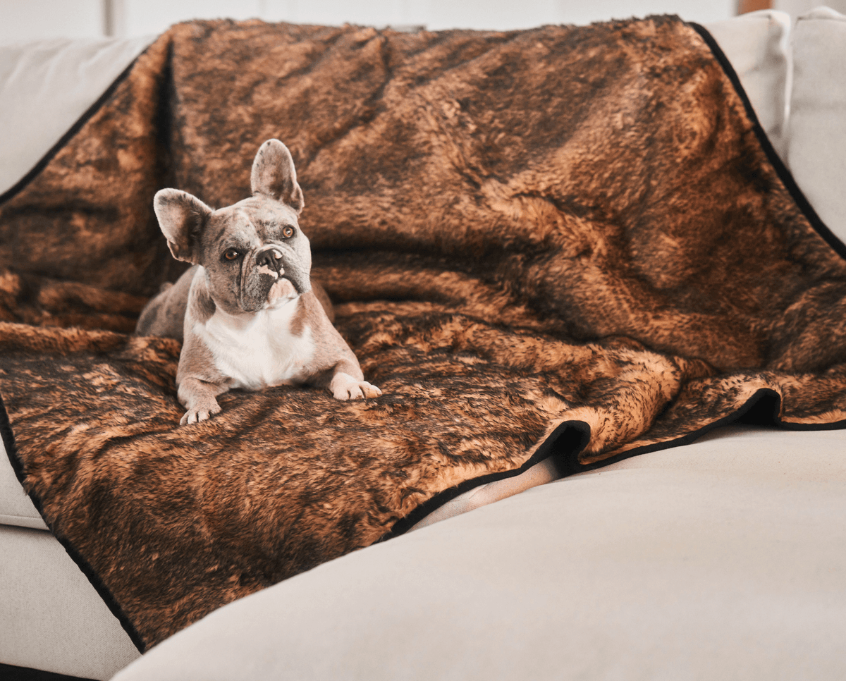 PupProtector™ Summer Short Fur Waterproof Throw Blanket - Sable Tan image 3