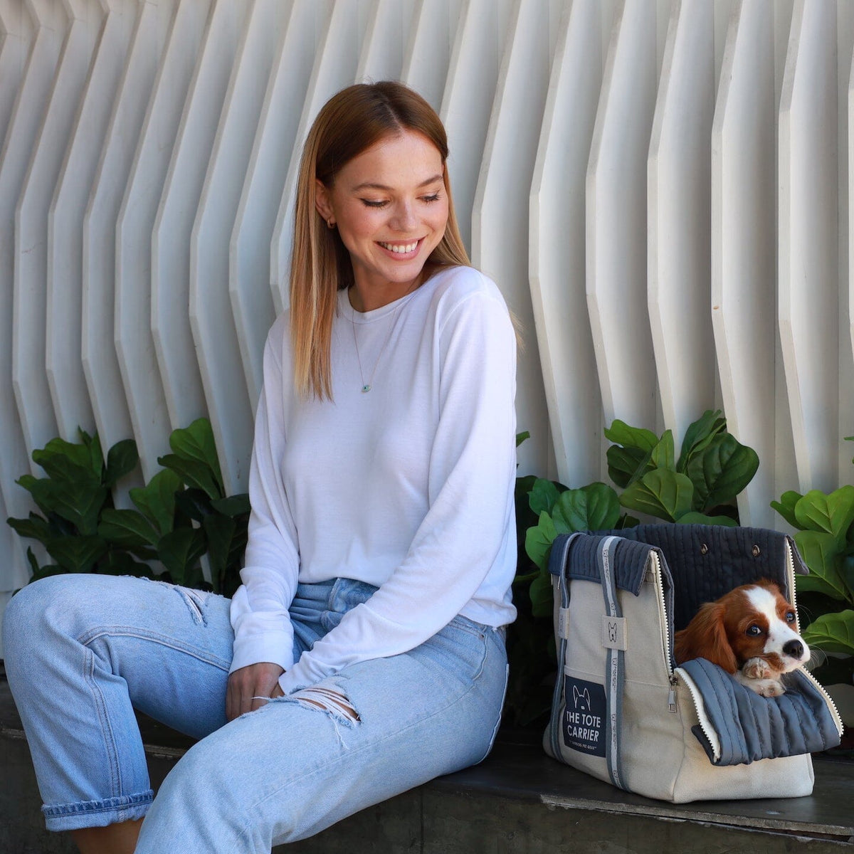 The Tote Dog Carrier image 4