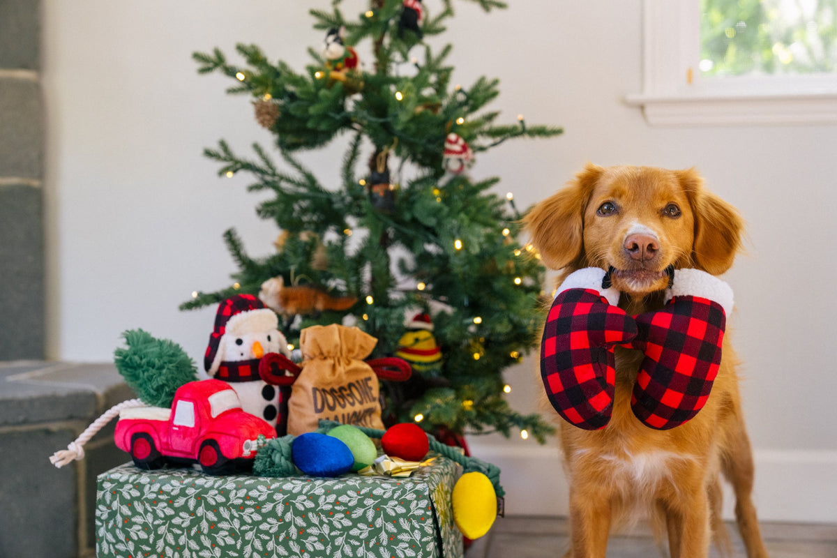 Home for the Holidays Collection image 2