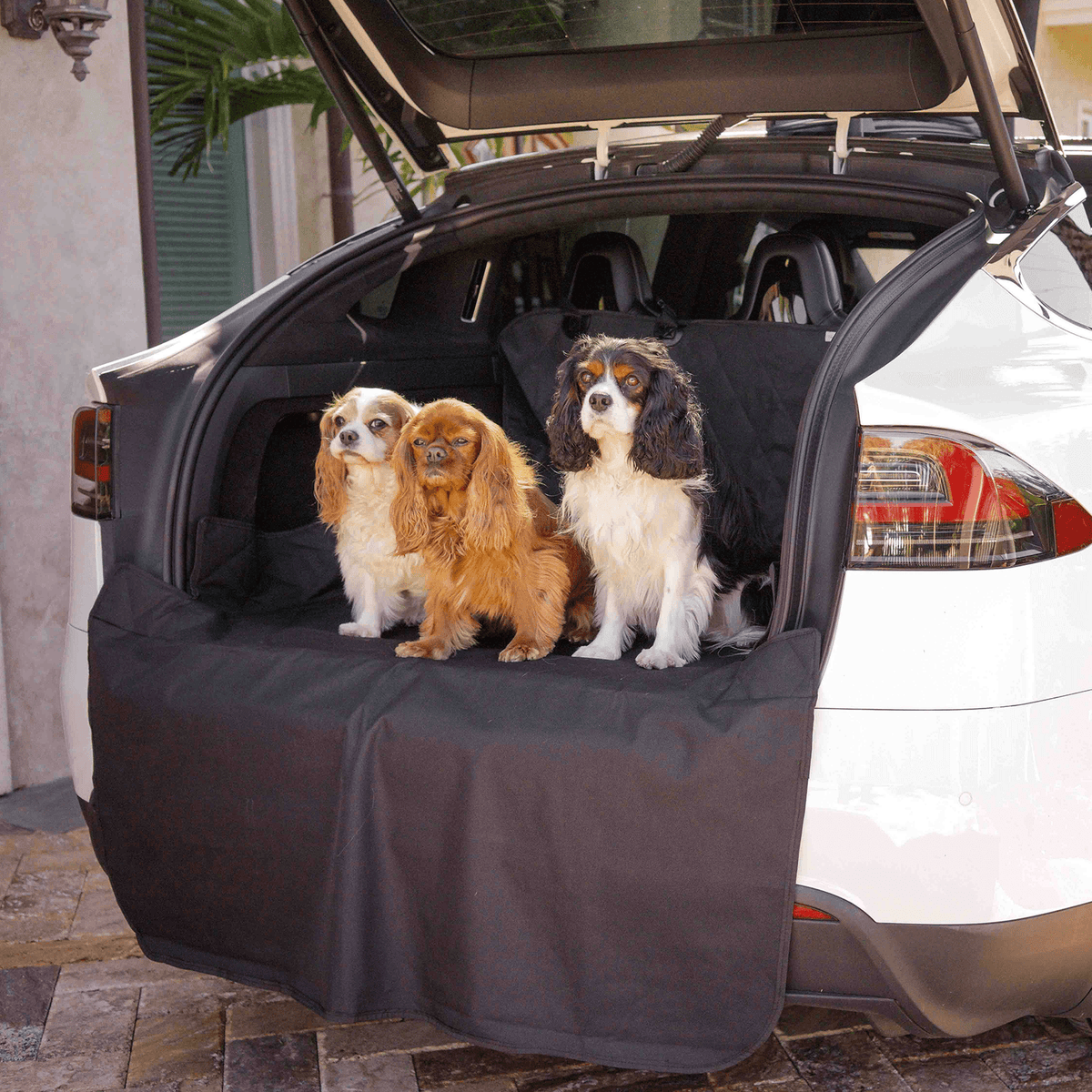 PupProtector™ Cargo Cover Liner for SUVs and Cars image 4