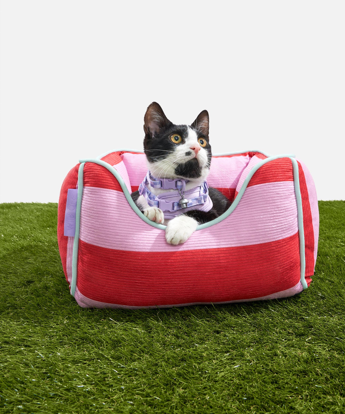 Cat Bolster Bed image 2
