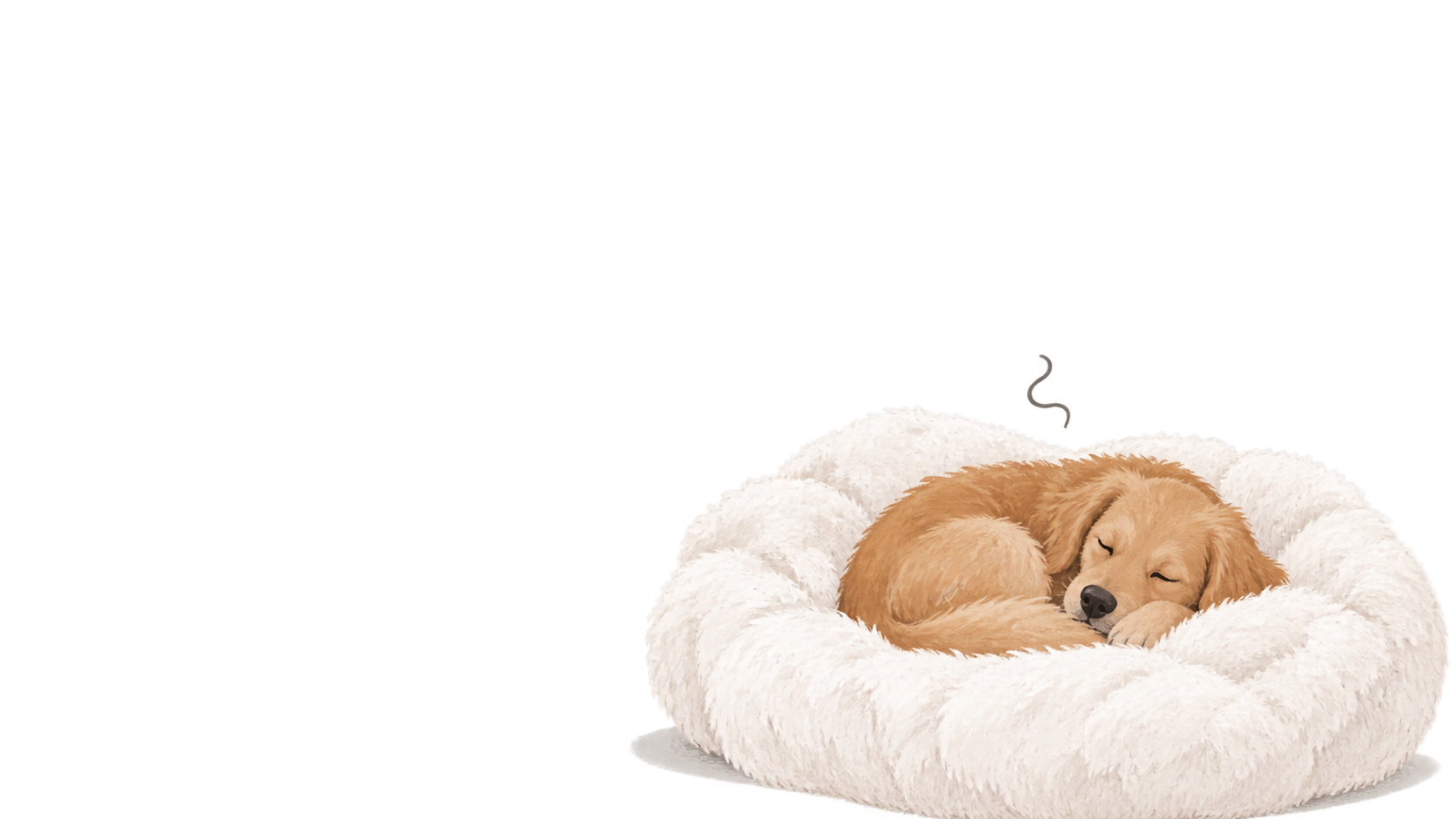 Sleeping dog in a cloud-shaped pet bed